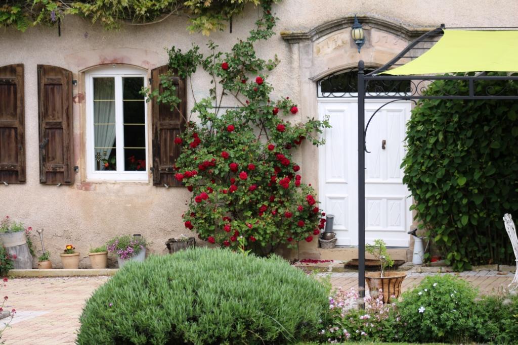 Le Clos D'Albray - Chambres D'Hotes Et Gite Comps-la-Grand-Ville Εξωτερικό φωτογραφία